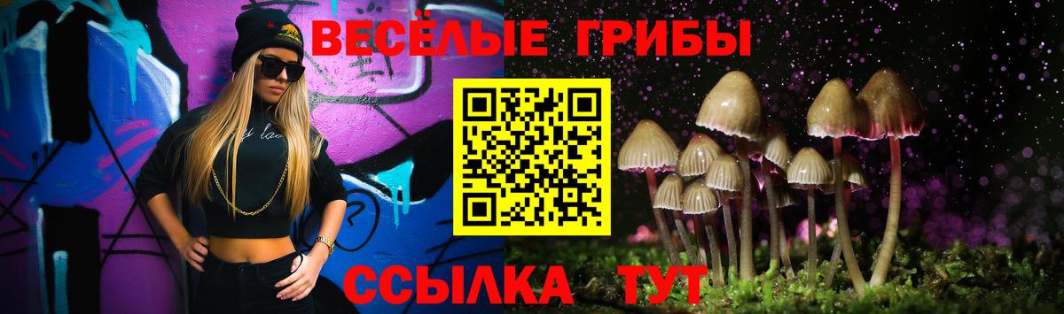 цена наркотик  Галлюциногенные грибы Psilocybine cubensis  Вход с VPN  Тобольск 